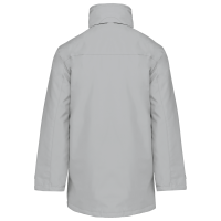 Snow Grey